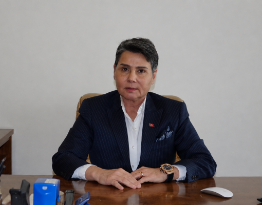 Yat Turizmi Derneği’nden Göcek ve Dalaman Koylarındaki Tonoz Projesine İlişkin Kamuoyu Açıklaması